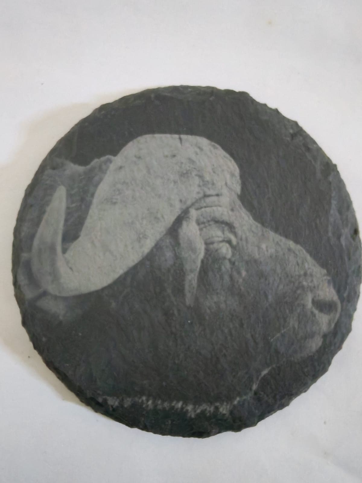 Laser-engraved buffalo coaster